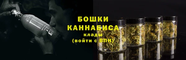 бошки Покачи