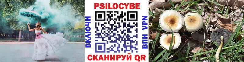 Галлюциногенные грибы Psilocybine cubensis Купить где Талдом